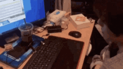 Typing Fast GIF
