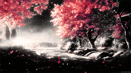 U Afcd953 GIF