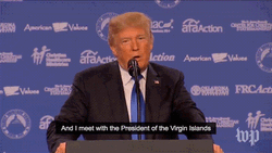 U.S. Virgin Islands President Donald Trump GIF