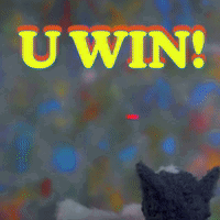 U Win Try Again Cute Cat GIF