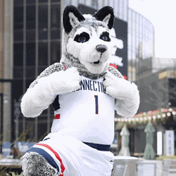 Uconn Husky Flexing Jersey GIF
