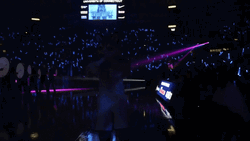 Uconn Husky Mascot Walking GIF