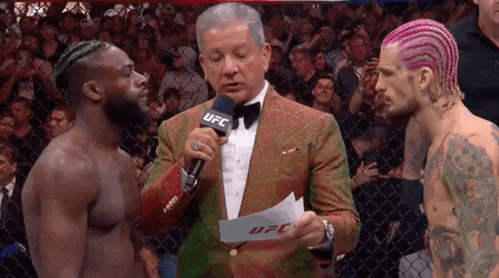 Ufc Aljamain Sterling Versus Sean O'Malley GIF