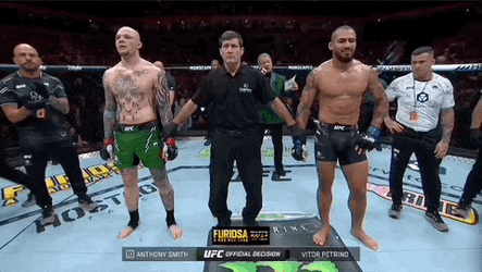 Ufc Anthony Smith Declared Winner GIF