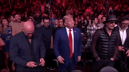 Ufc Donald Trump Waving GIF