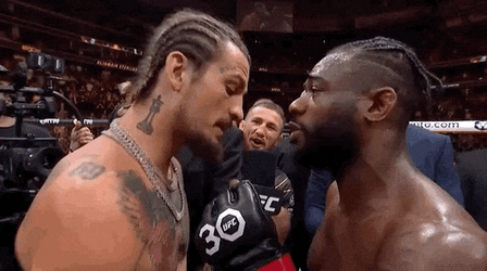 Ufc Face Off Sean O'Malley Aljamain Sterling GIF