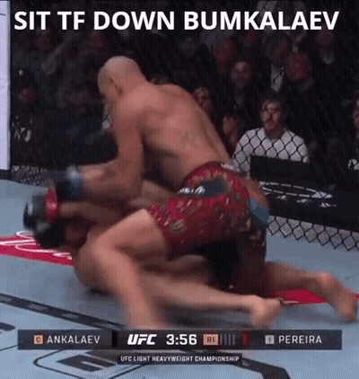 UFC Fight Ankalaev Vs Pereira GIF