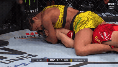 UFC Fight Between Wang And Fernandes GIF