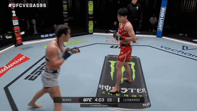 UFC Fight Between Wang And Leonardo GIF
