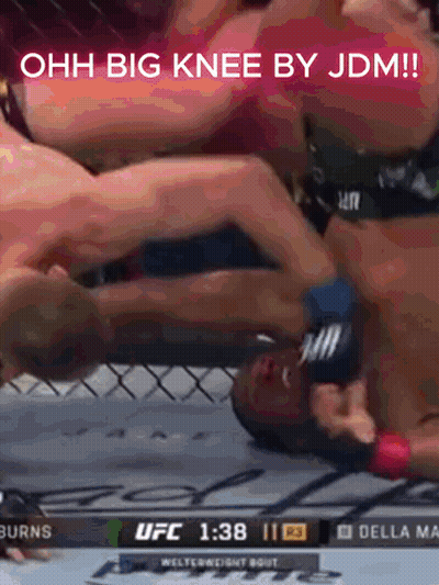 UFC Fight Burns Vs Della Maia GIF