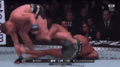 UFC Fight Burns Vs Della Maqualena GIF