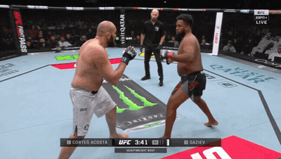 UFC Fight Cortes Acosta Vs Gazliev GIF