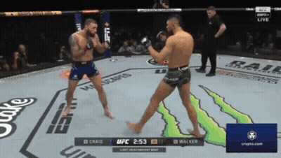UFC Fight Craig Vs Walker GIF