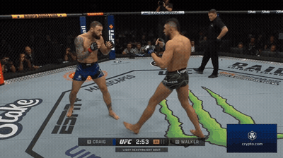 UFC Fight Craig Vs Walker On Crypto.com GIF