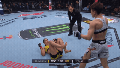 UFC Fight Da Silva Vs Wang GIF