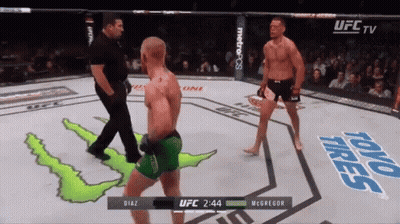 UFC Fight Diaz Vs McGregor GIF