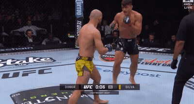 UFC Fight Dober Vs Silva Live GIF