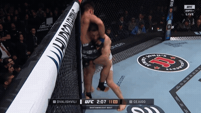 UFC Fight Dvalishvili Vs Cejudo GIF