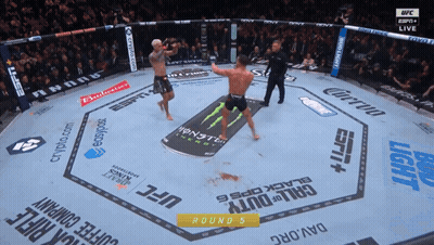 UFC Fight In Boxing Ring Sponsored By Budweiser GIF