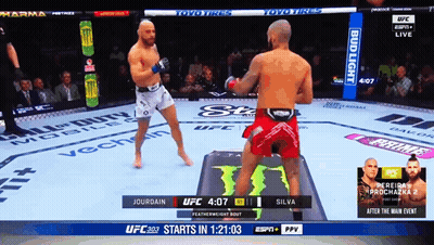 UFC Fight Jourdain Vs Silva GIF