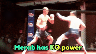 UFC Fight Live On ESPN With Bud Light Can GIF