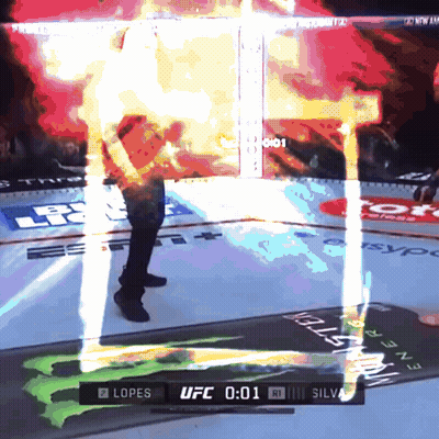 UFC Fight Lopes Silva GIF