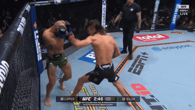 UFC Fight Lopes Vs Silva In Cage GIF