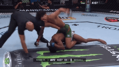 UFC Fight Mitchell Vs Rosas Jr GIF
