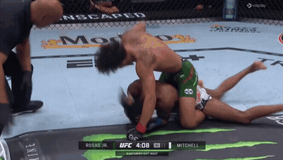 UFC Fight Mitchell Vs Rosas Jr. Underway GIF