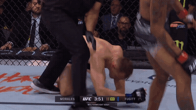 UFC Fight Morales Vs Fugitt In Cage GIF