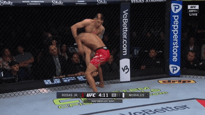 UFC Fight Morales Vs Rosas Jr GIF