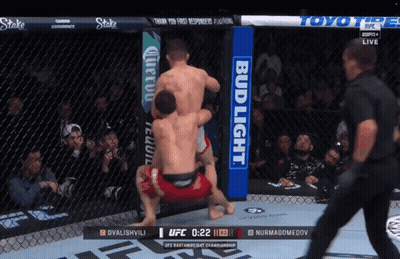 UFC Fight On Screen With Bud Light Advertising GIF