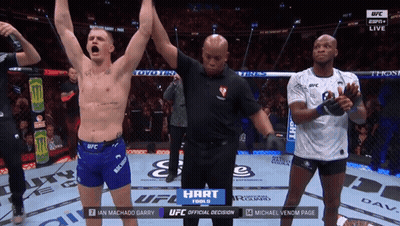 UFC Fight On Television Screen GIF
