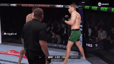 UFC Fight On TV GIF