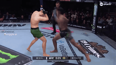 UFC Fight On TV GIF