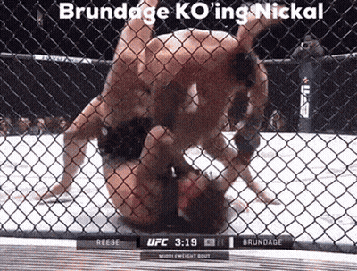 UFC Fight Reese Vs Brundage GIF