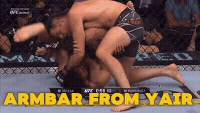 UFC Fight Rodriguez Vs Ortega GIF
