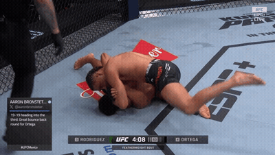 UFC Fight Rodriguez Vs Ortega GIF