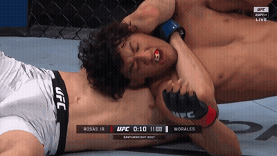 UFC Fight Rosas Jr. Vs Morales GIF