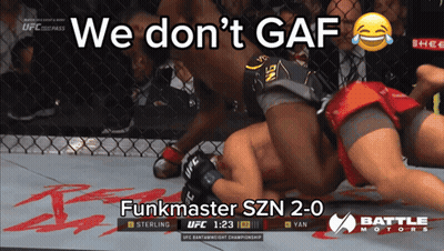 UFC Fight Screenshot We Don't Gaf GIF