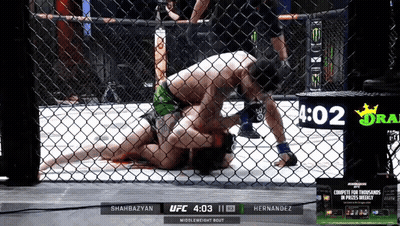 UFC Fight Shahbazyan Vs Hernandez On Screen GIF