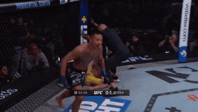 UFC Fight Silva Vs Van GIF
