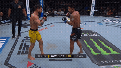 UFC Fight Silva Vs Van GIF