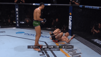 UFC Fight Smith Vs Walker On ESPN GIF