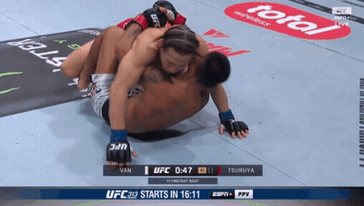 UFC Fight Van Vs Tsuruya GIF