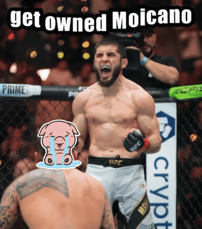 UFC Fighter Get Owned Moicano GIF