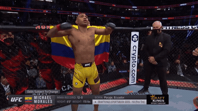 UFC Fighter Holding Flag In Ring GIF