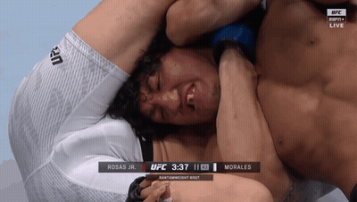 UFC Match Between Morales And Rosas Jr GIF