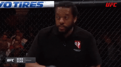 UFC Referee In Uniform In Front Of Cage GIF