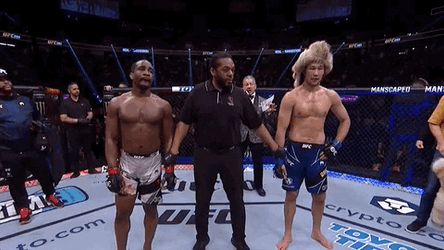 Ufc Shavkat Rakhmonov Winner GIF